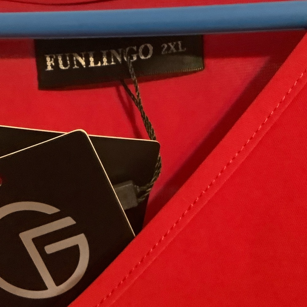 Chic Red V-Neck Blouse - Picture 5 of 5